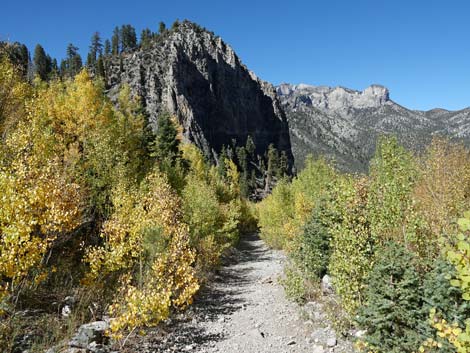 Cathedral Rock Trail