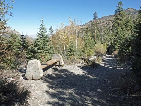 Cathedral Rock Trail