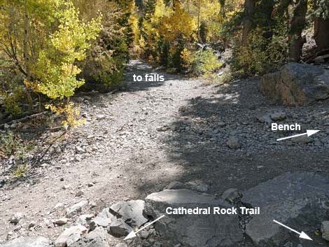 Cathedral Rock Trail