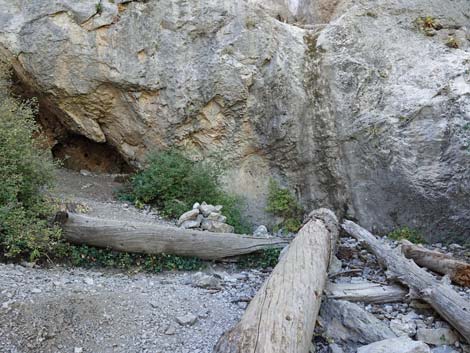 Cathedral Rock Trail