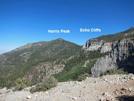 Cathedral Rock Trail