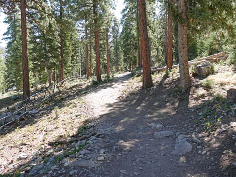 Echo Overlook Trail