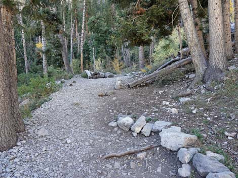 Cathedral Rock Trail