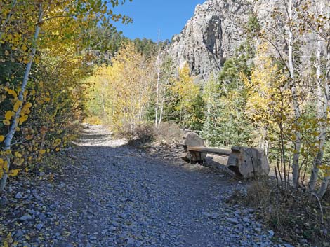 Cathedral Rock Trail