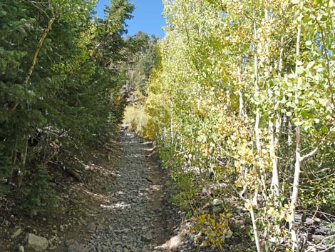 Cathedral Rock Trail