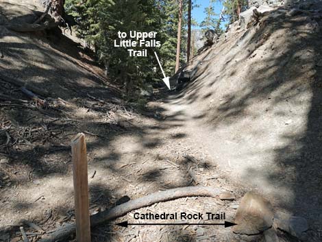 Cathedral Rock Trail