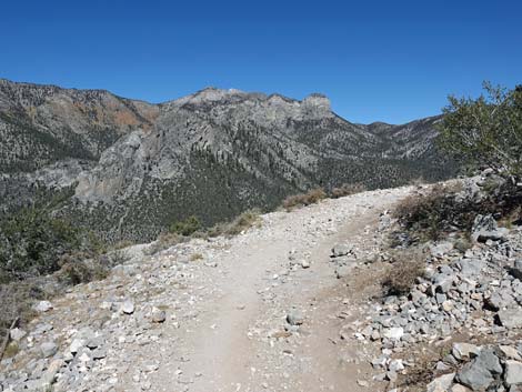 Cathedral Rock Trail