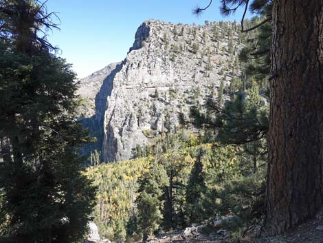 Cathedral Rock Trail