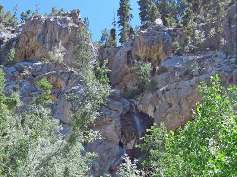 Cathedral Rock Trail