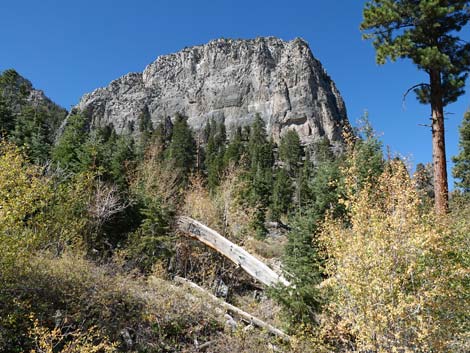 Cathedral Rock Trail