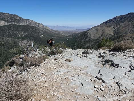 Cathedral Rock Trail