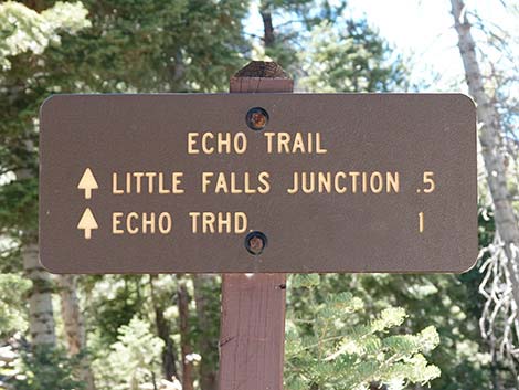 Cathedral Rock Trail