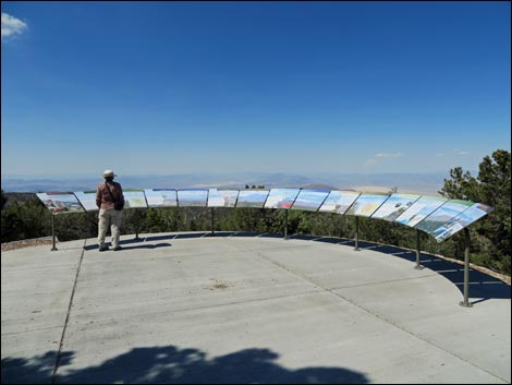 Desert View Overlook Trail