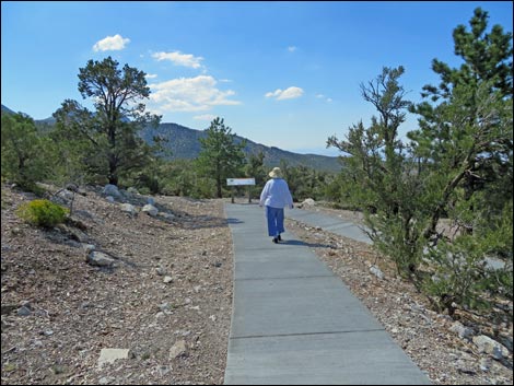 Desert View Overlook Trail