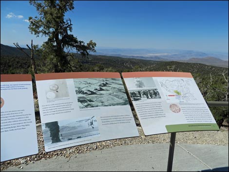 Desert View Overlook Trail