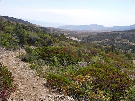 Eagle's Nest Loop Trail