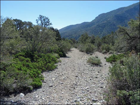 Eagle's Nest Loop Trail