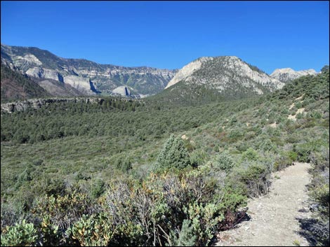 Eagle's Nest Loop Trail