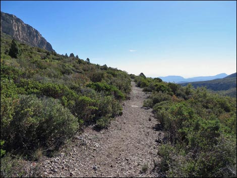 Eagle's Nest Loop Trail