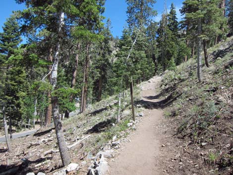 Echo Overlook Trail