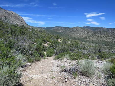 Escarpment Trail