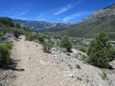 Escarpment Trail