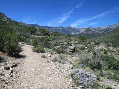 Escarpment Trail