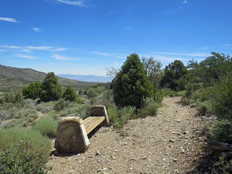 Escarpment Trail