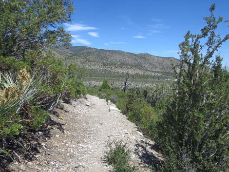 Escarpment Trail