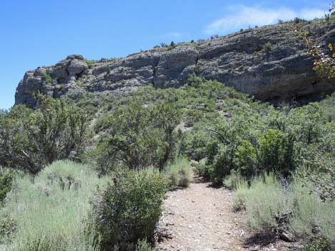 Escarpment Trail