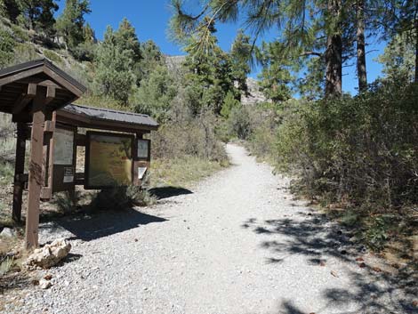 Fletcher Canyon Trail