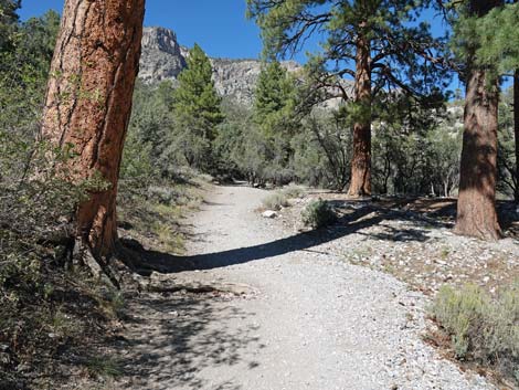 Fletcher Canyon Trail