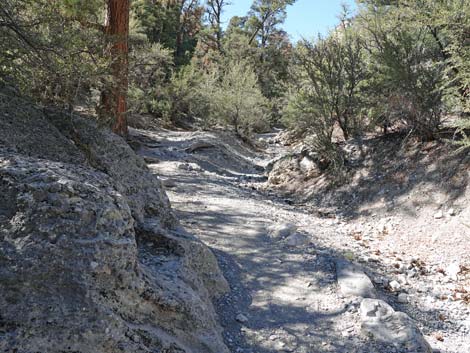 Fletcher Canyon Trail