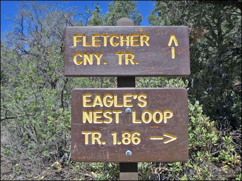 Fletcher Canyon Trail