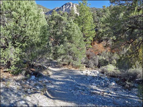 Fletcher Canyon Trail