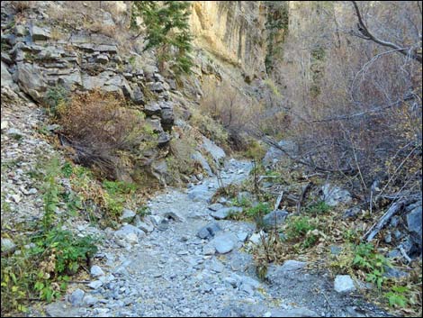 Fletcher Canyon Trail