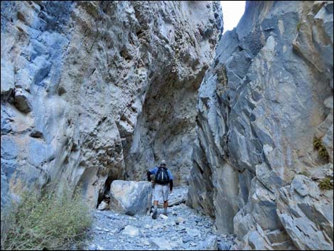 Fletcher Canyon Trail