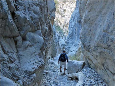 Fletcher Canyon Trail