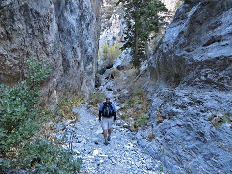 Fletcher Canyon Trail