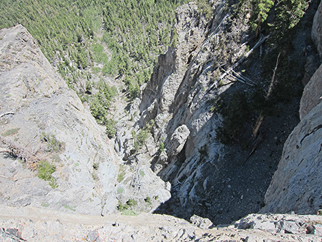 Griffith Peak Trail