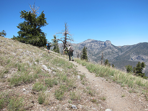 Griffith Peak Trail