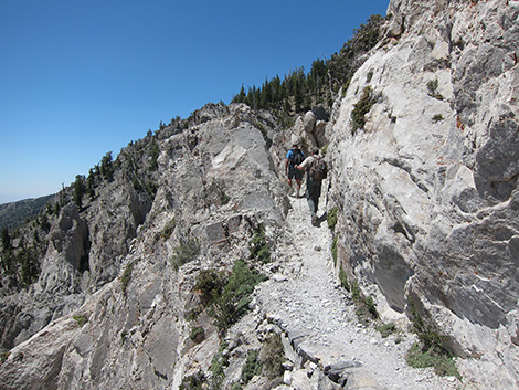 Griffith Peak Trail