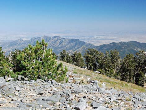 Griffith Peak