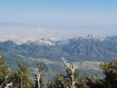 Griffith Peak