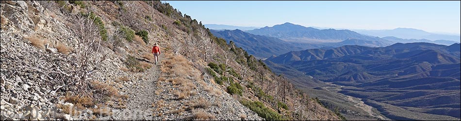 Harris Saddle Trail