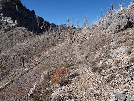 Harris Saddle Trail