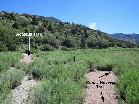 Kunav Huveep Trail