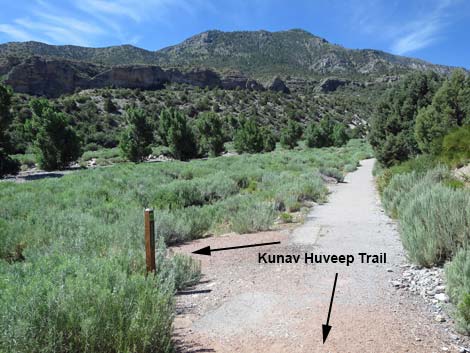 Kunav Huveep Trail