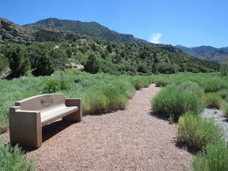 Visitor Center Trailhead