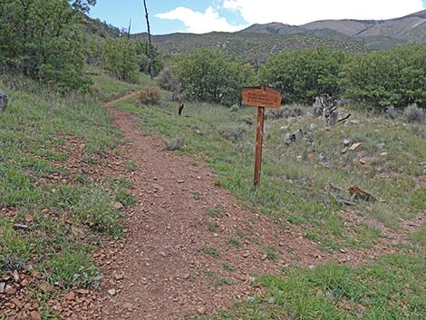 Lovell Canyon Trail